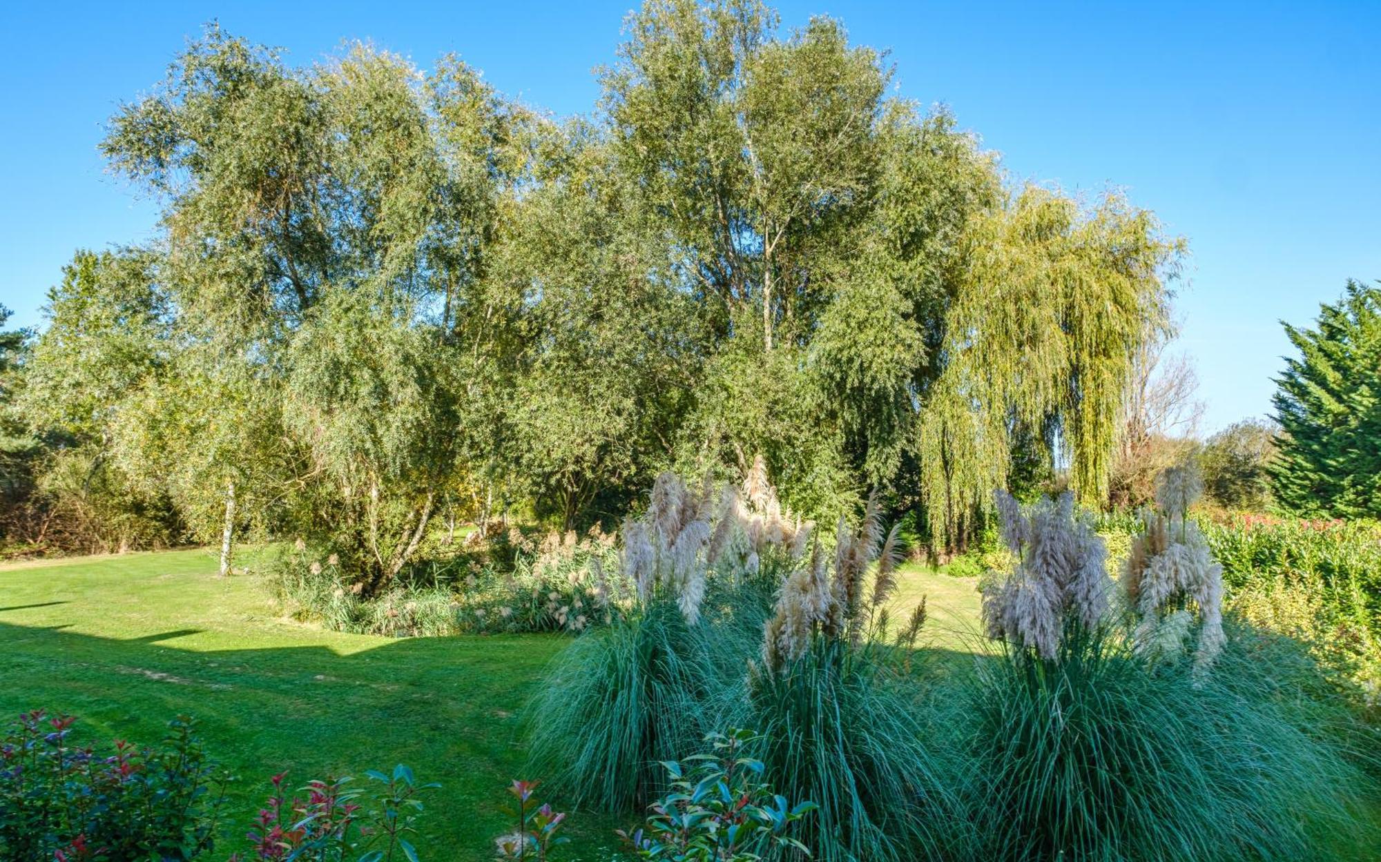 Domaine De La Blonnerie Panzió Feings Kültér fotó